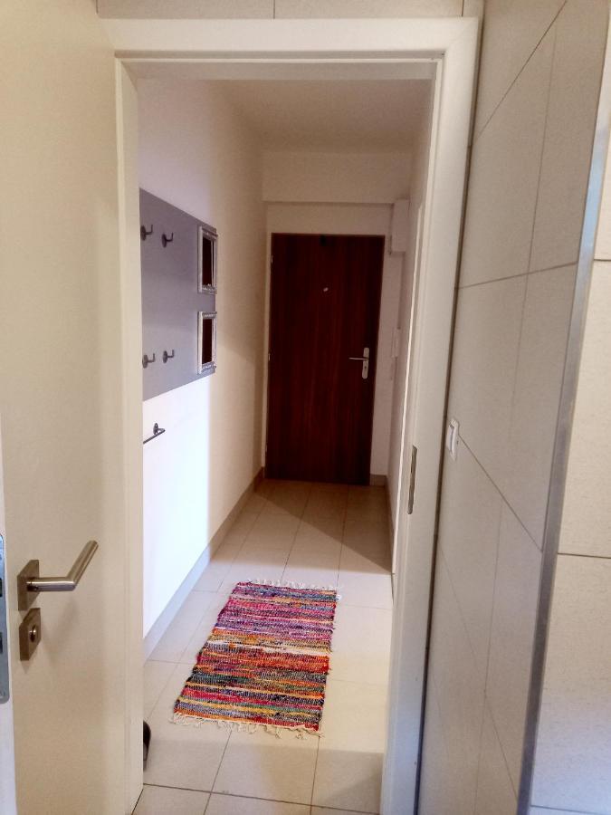 Apartmany Za Sneznikem Dolní Morava エクステリア 写真