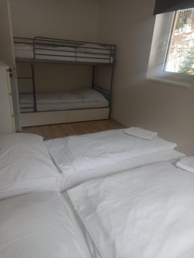 Apartmany Za Sneznikem Dolní Morava エクステリア 写真