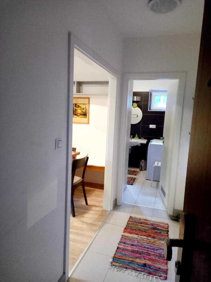 Apartmany Za Sneznikem Dolní Morava エクステリア 写真